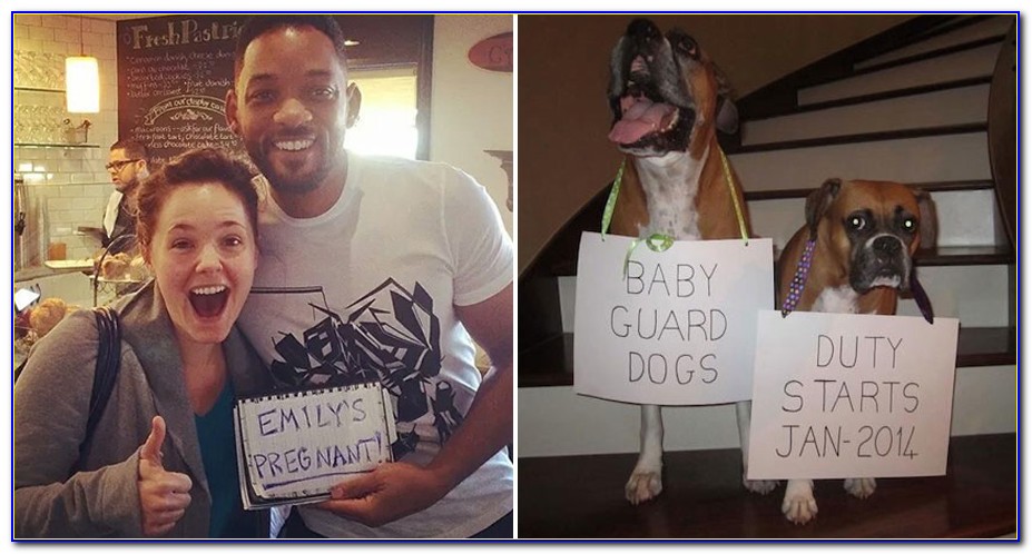 Funny Pregnancy Announcements With Dogs