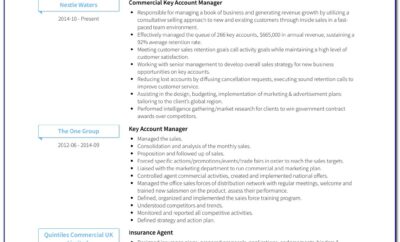 Key Account Manager Resume Templates