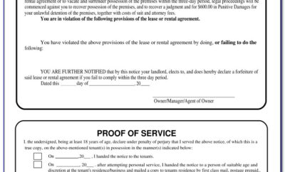 Nys 3 Day Eviction Notice Form