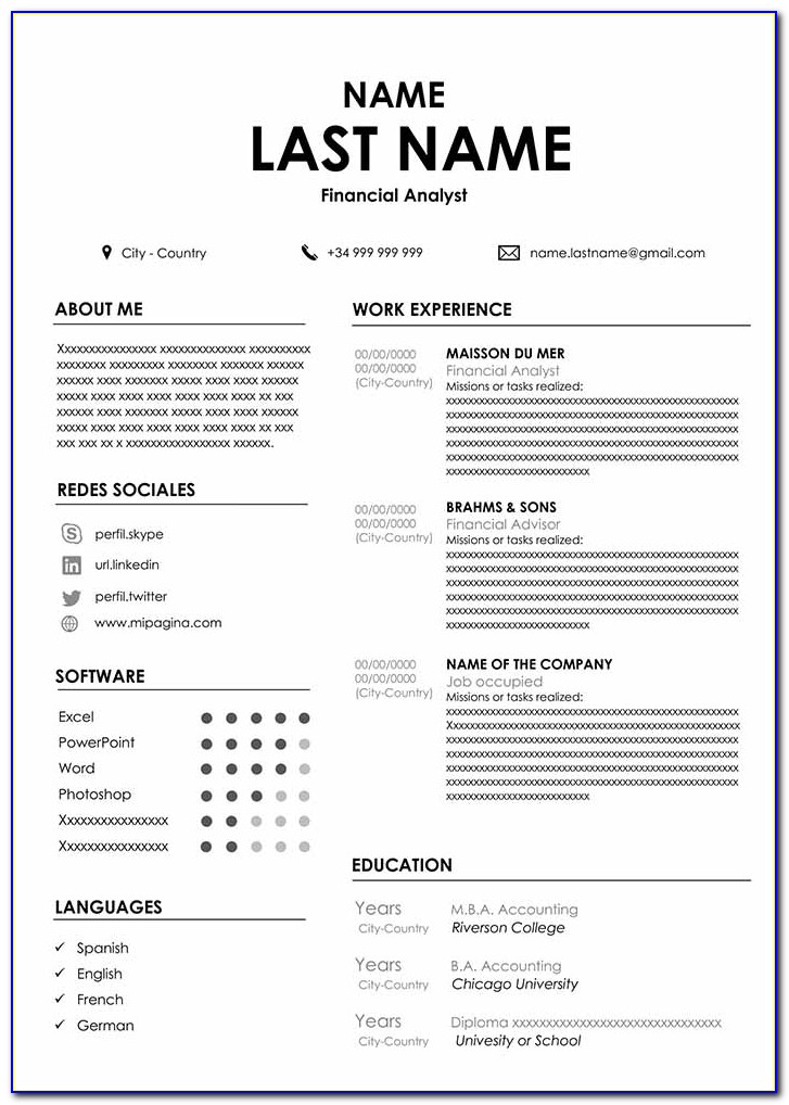 Professional Accountant Cv Template Word