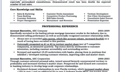Senior Account Executive Resume Format