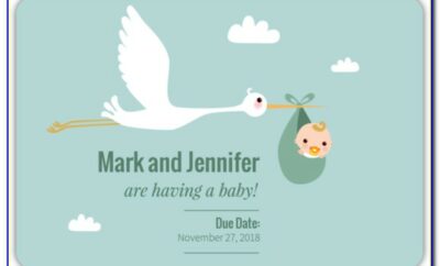 Stork Delivery Pregnancy Announcement