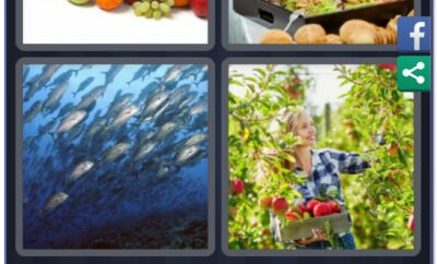 4 Pics 1 Word 6 Letters Answers