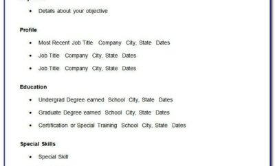 Basic Resume Template Doc