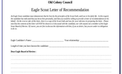 Eagle Scout Letter Of Recommendation Sample From Parents
