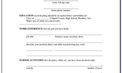 Fill In The Blank Resume Pdf
