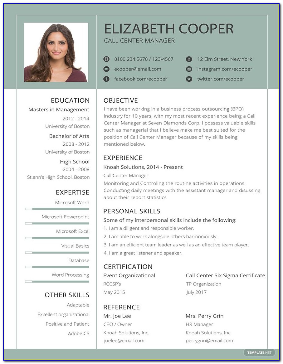 Free Modern Resume Templates For Pages