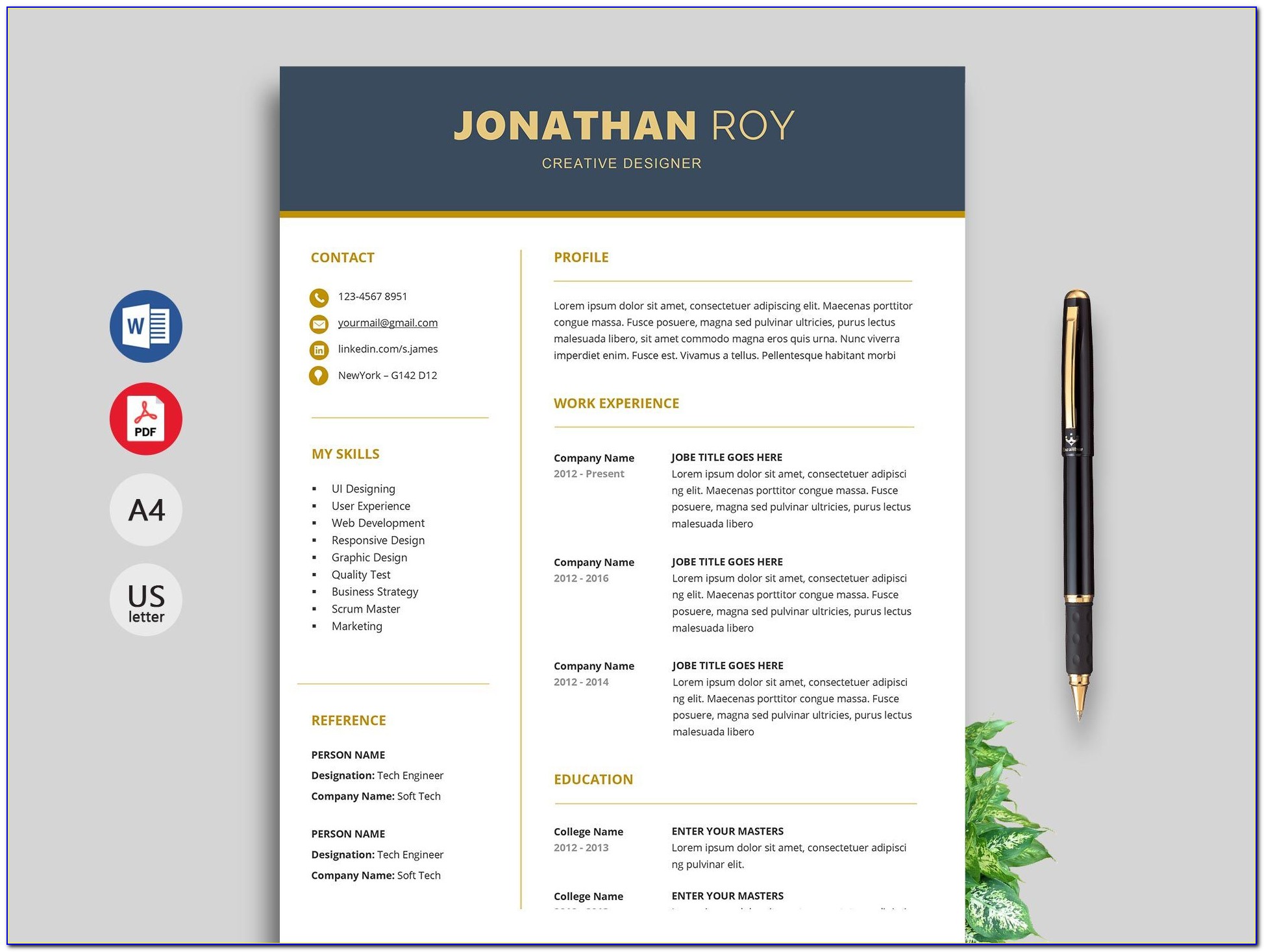 Functional Executive Resume Format Template