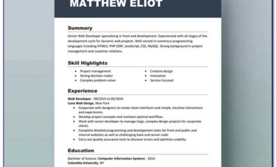 Resume Templates Free Download Ms Word