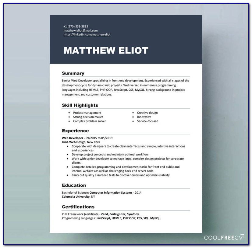 Resume Templates Free Download Ms Word