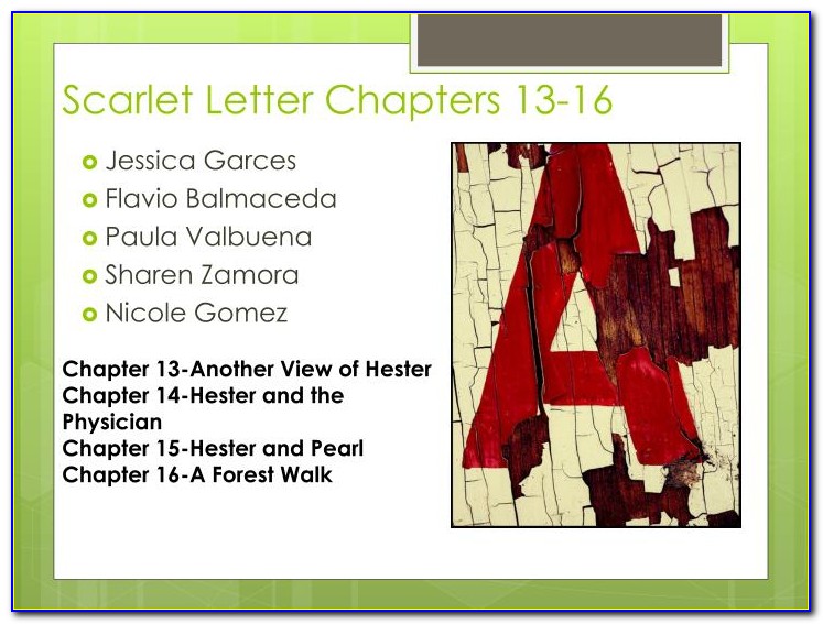 Scarlet Letter Chapter 13 Annotations