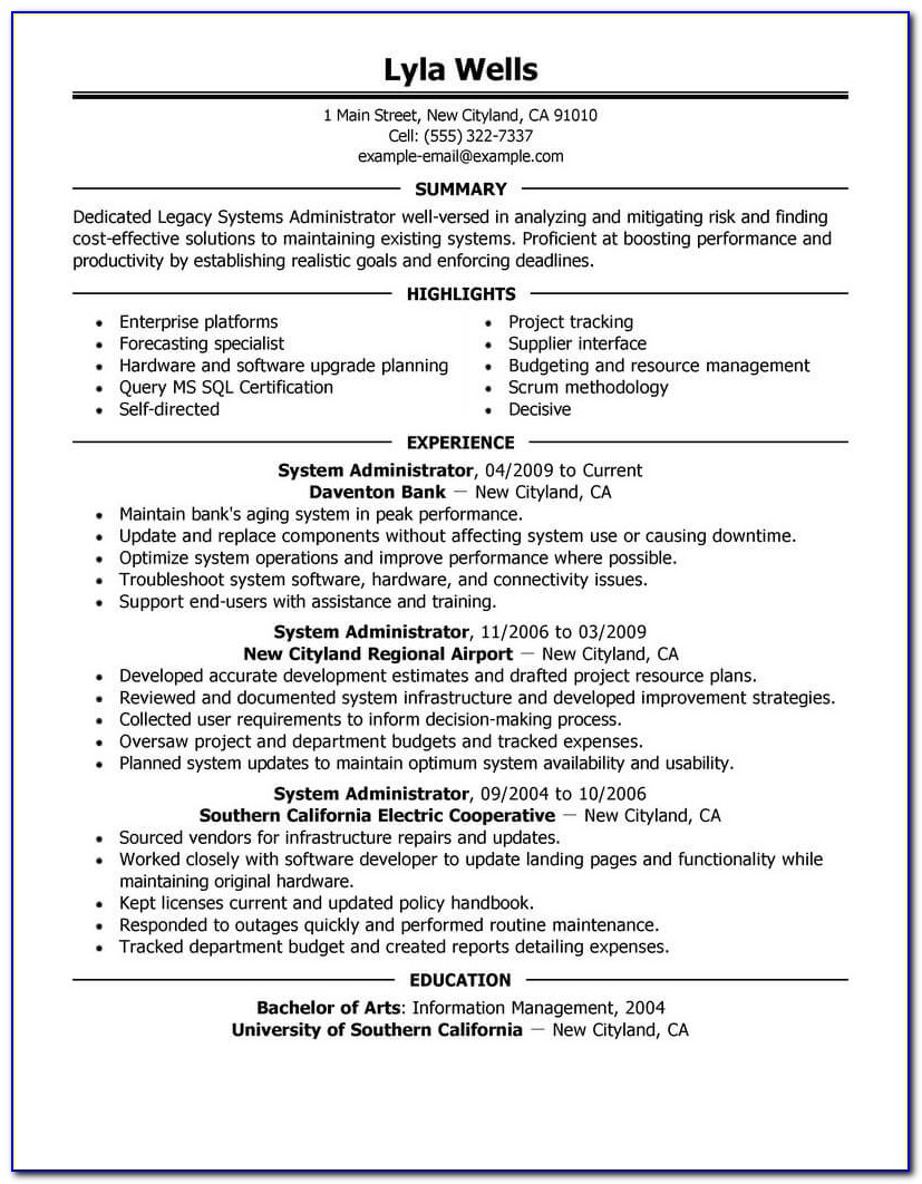 Admin Manager Resume In Word Format