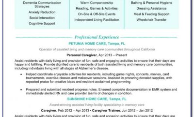 Caregiver Resume Template Free