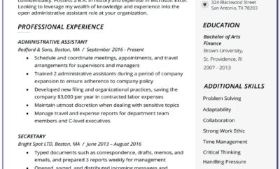 Executive Resume Builder Online