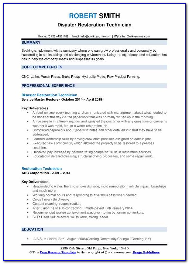 Executive Resume Formats And Examples