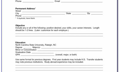 Fill In Blank Resume Form