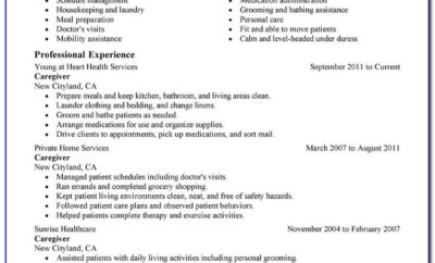 Free Cv Templates Ms Word Download