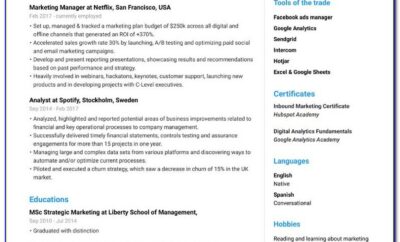 Free Fill In Resume Online