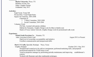 Free Fill In Resumes Printable