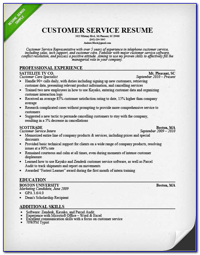Free Resume Templates For Customer Service Jobs