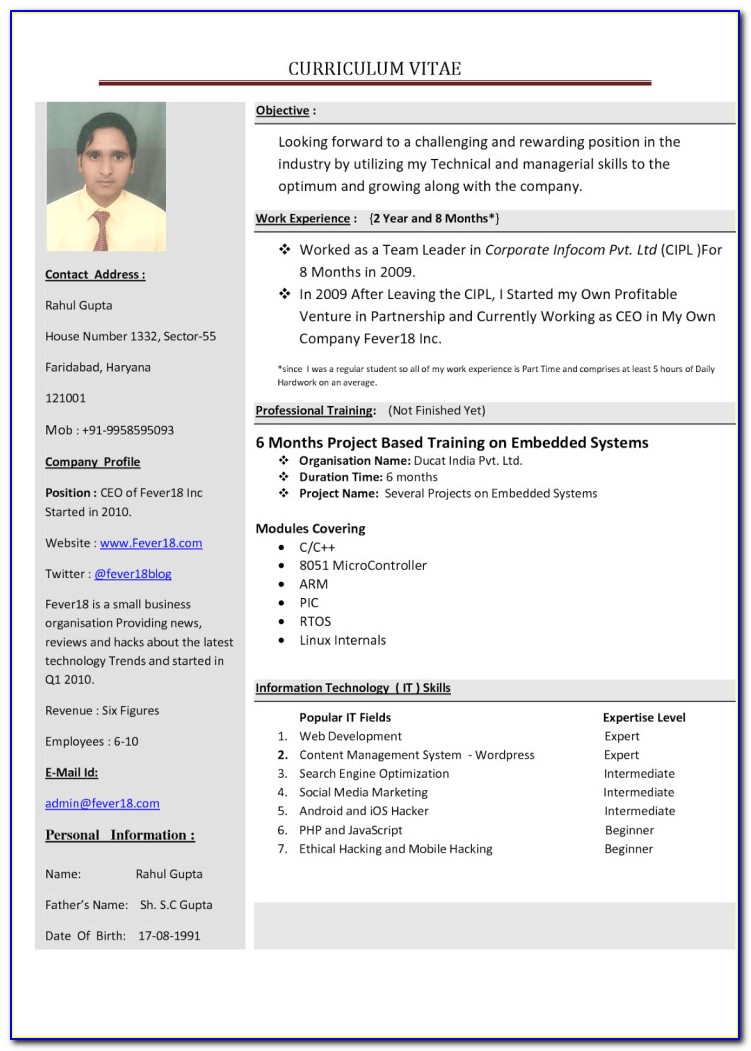 How To Make The Cv For Job