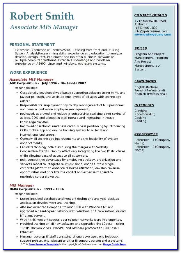 Mis Executive Experience Resume Format