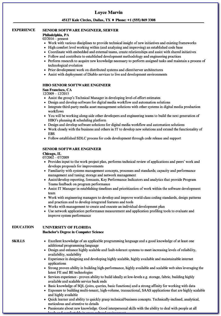 Professional Resume Format For Software Engineer