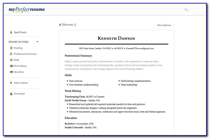 Resume Examples For Auto Sales Manager