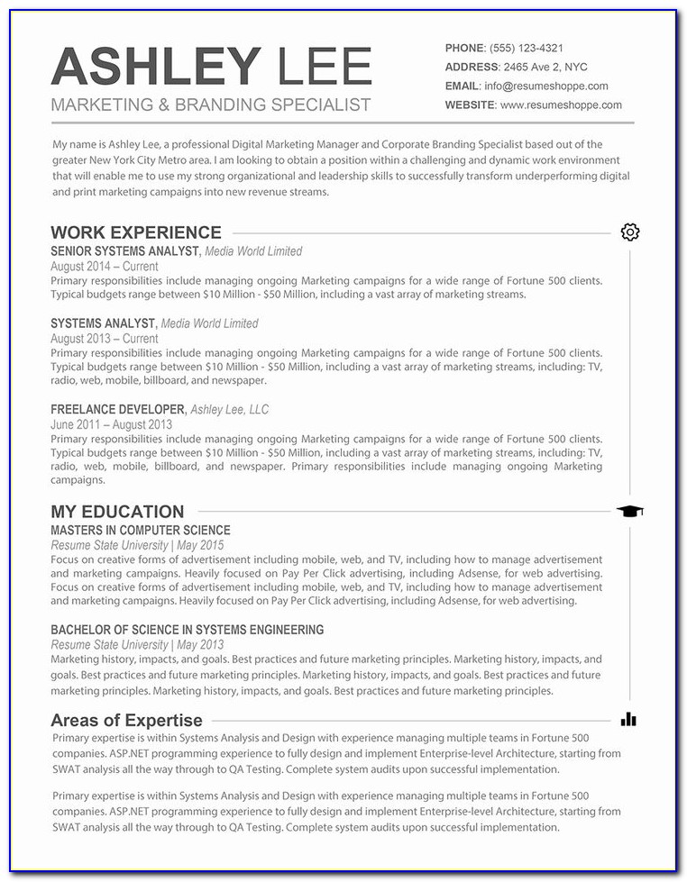 Resume For Accountants And Financial Professionals