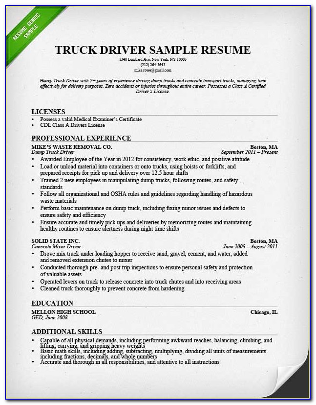Resume Format For Driving Job