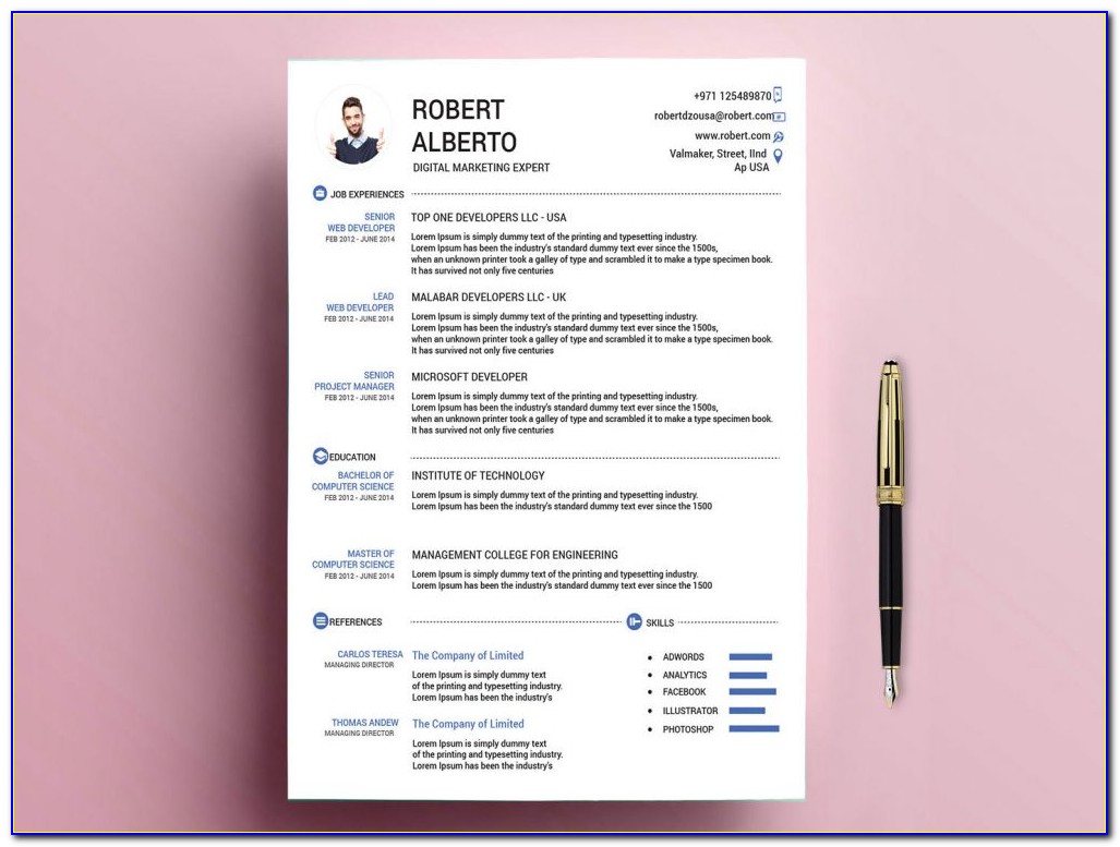 Resume Template Word Doc Download