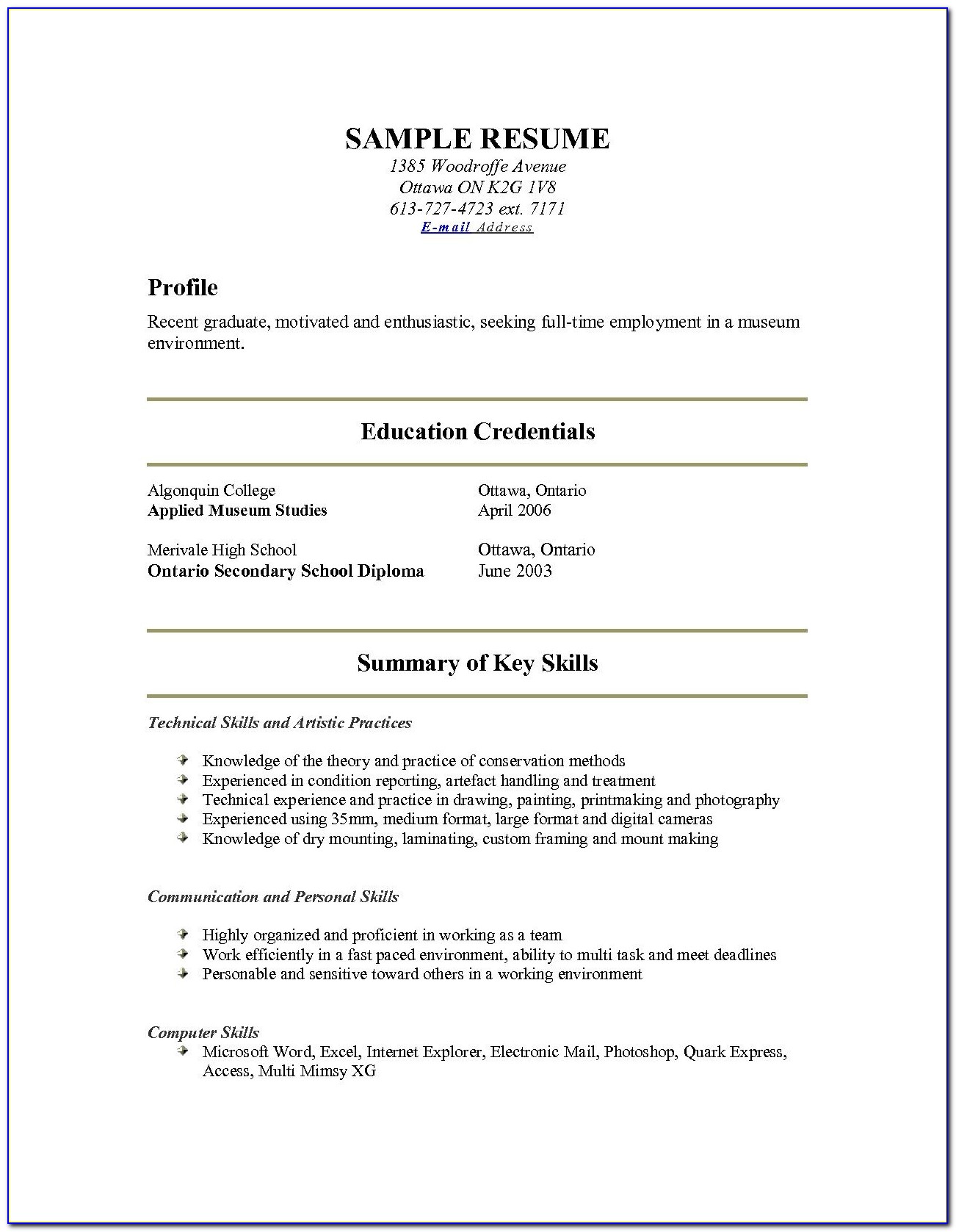 Resumes For C Level Executives