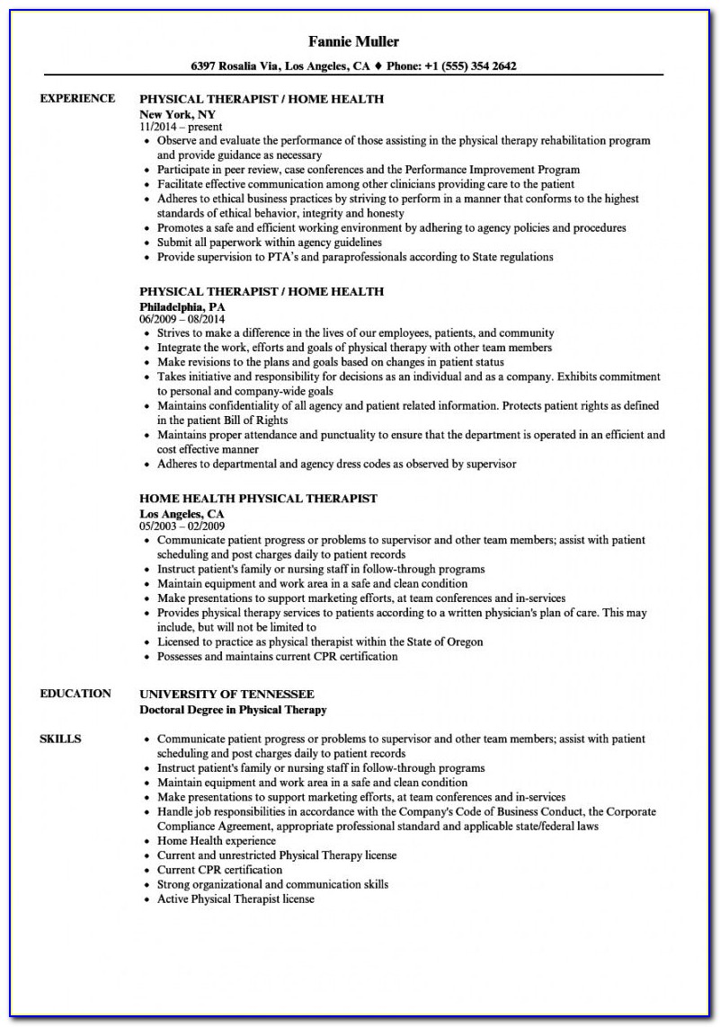Sample Resume For Project Managers