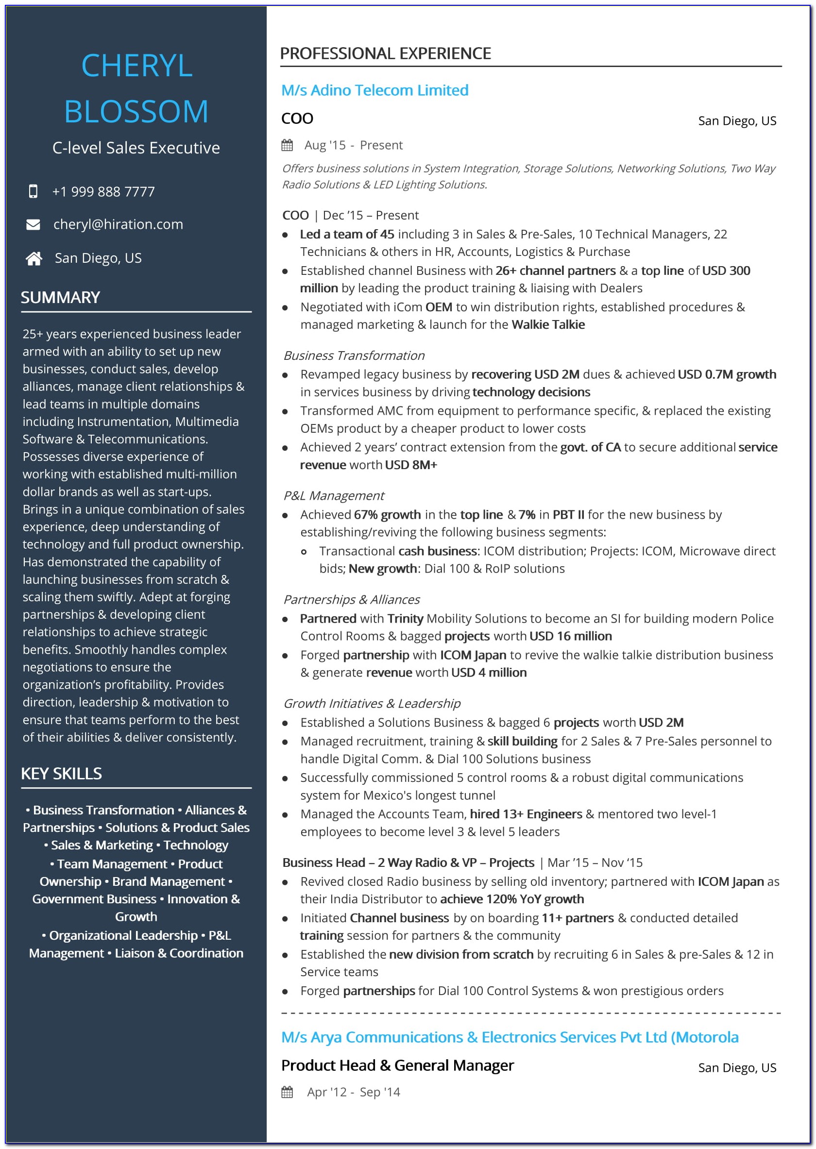 Sample Resume For Sales Executives