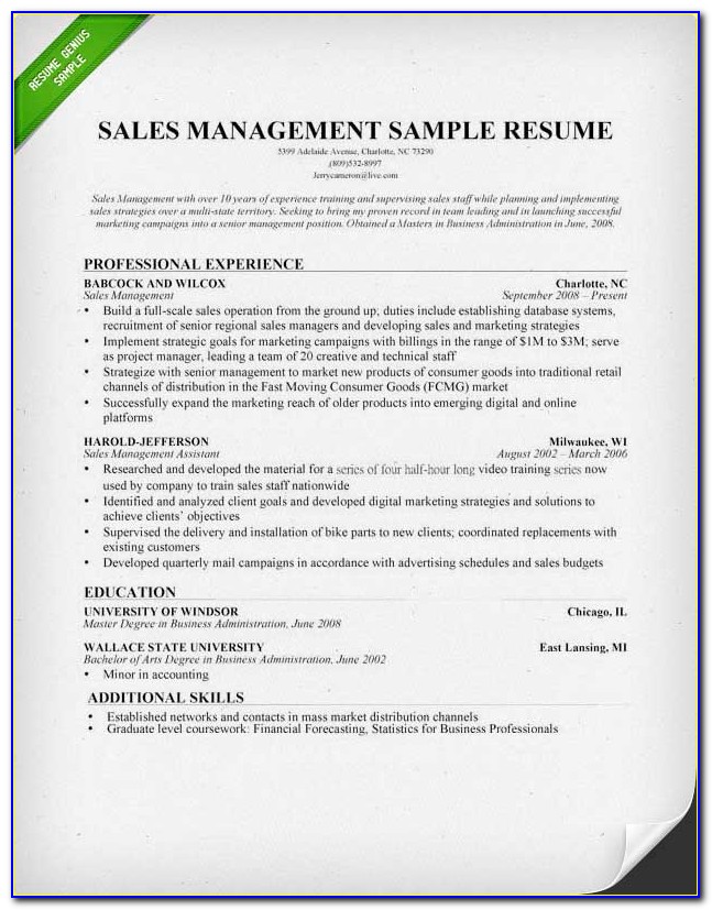 Sample Resumes For Sales Positions