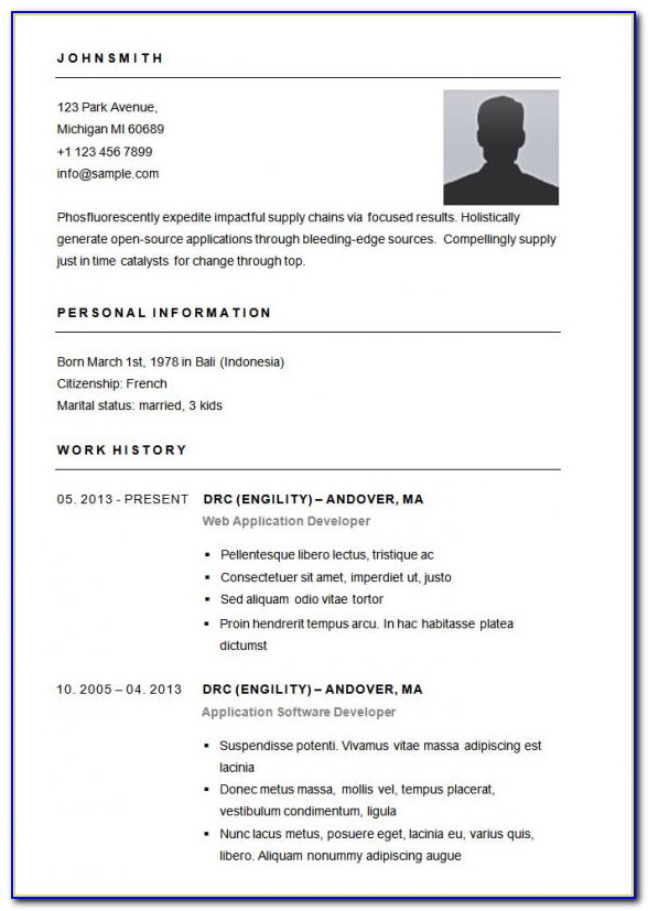 Simple Resume Format Word For Fresher