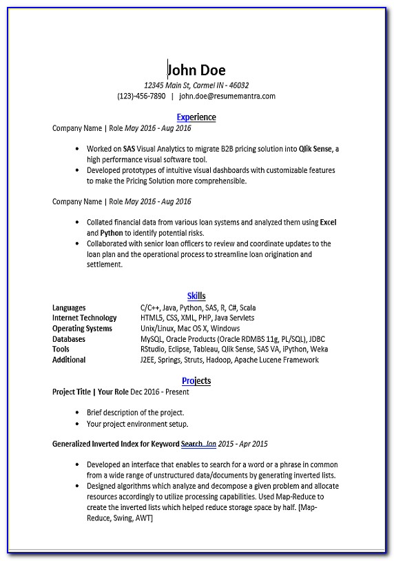 Cv Format Free Download In Ms Word