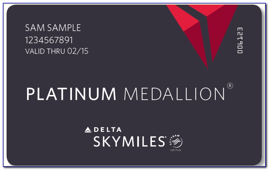 Delta Skymiles Business Platinum Credit Card