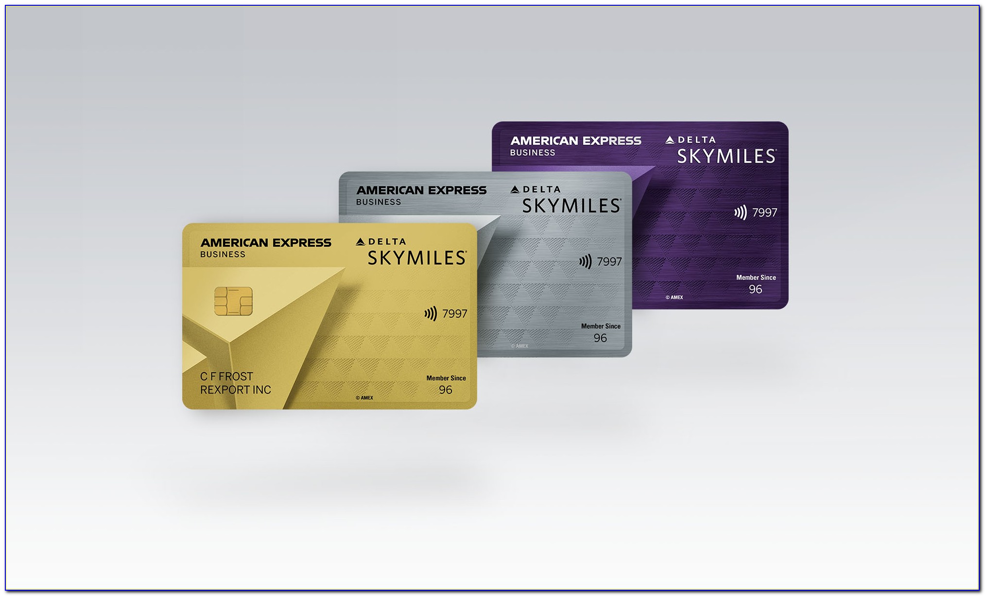 Delta Skymiles Gold Business Card
