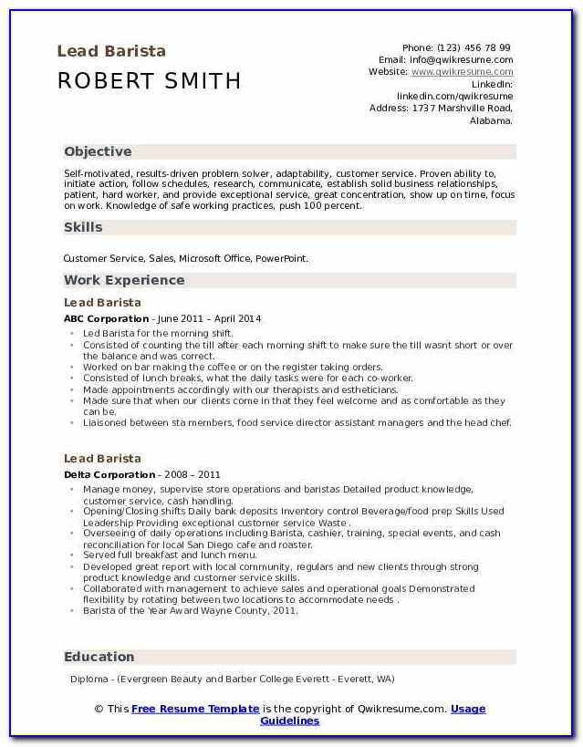 Free Download Cv Templates In Ms Word