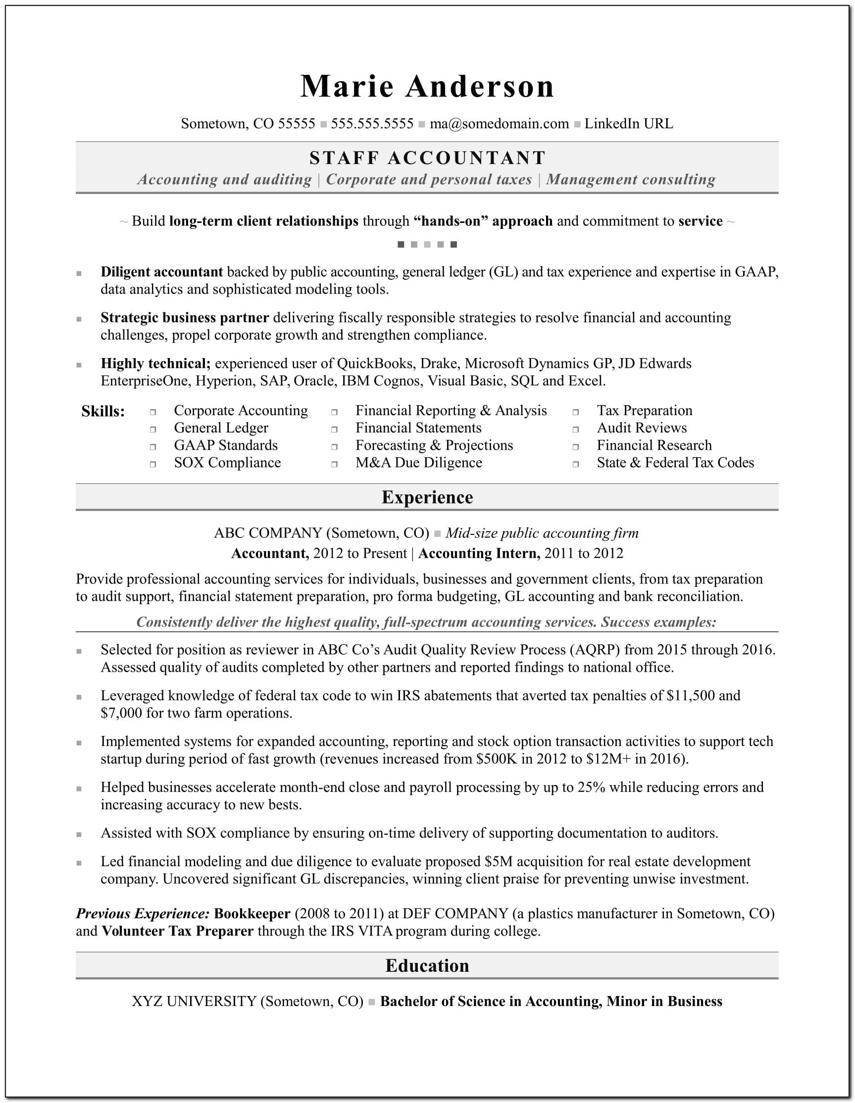 Professional Resume Examples Accounting
