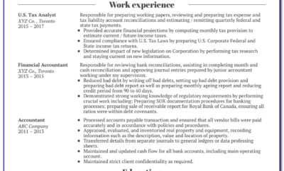 Professional Resume For Accountant