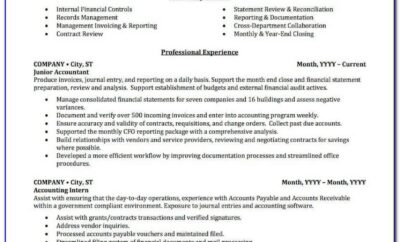 Professional Resume For Chartered Accountants