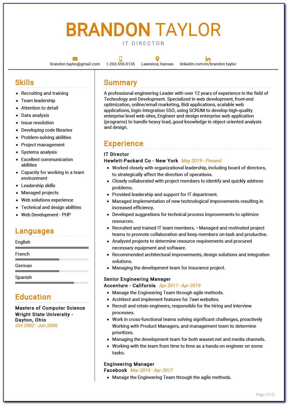 Resume Doc Format For It Professional