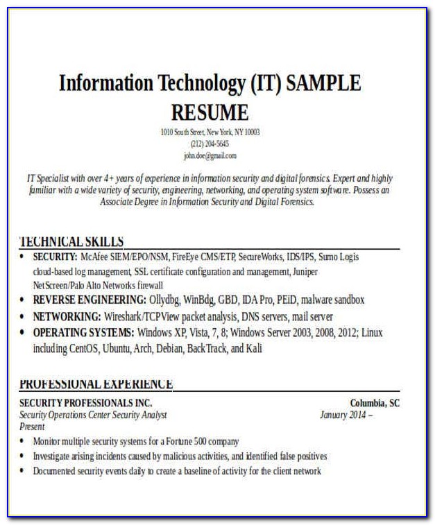 Resume Format For It Professional Free Download