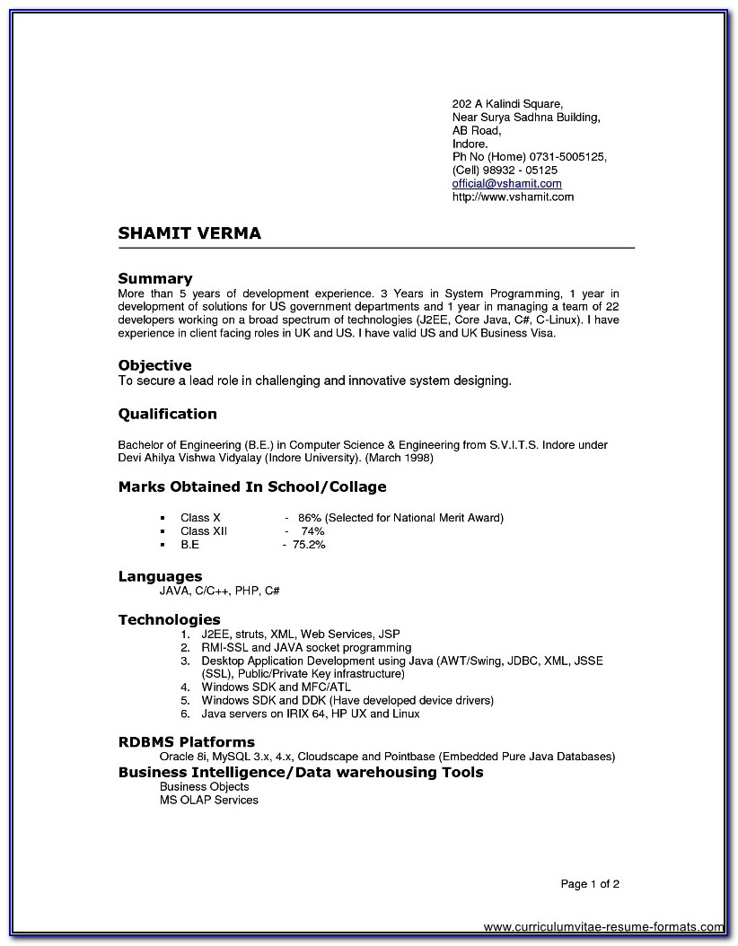 Resume Format For It Professional In Word