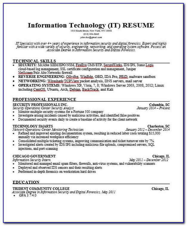 Resume Format For It Professionals