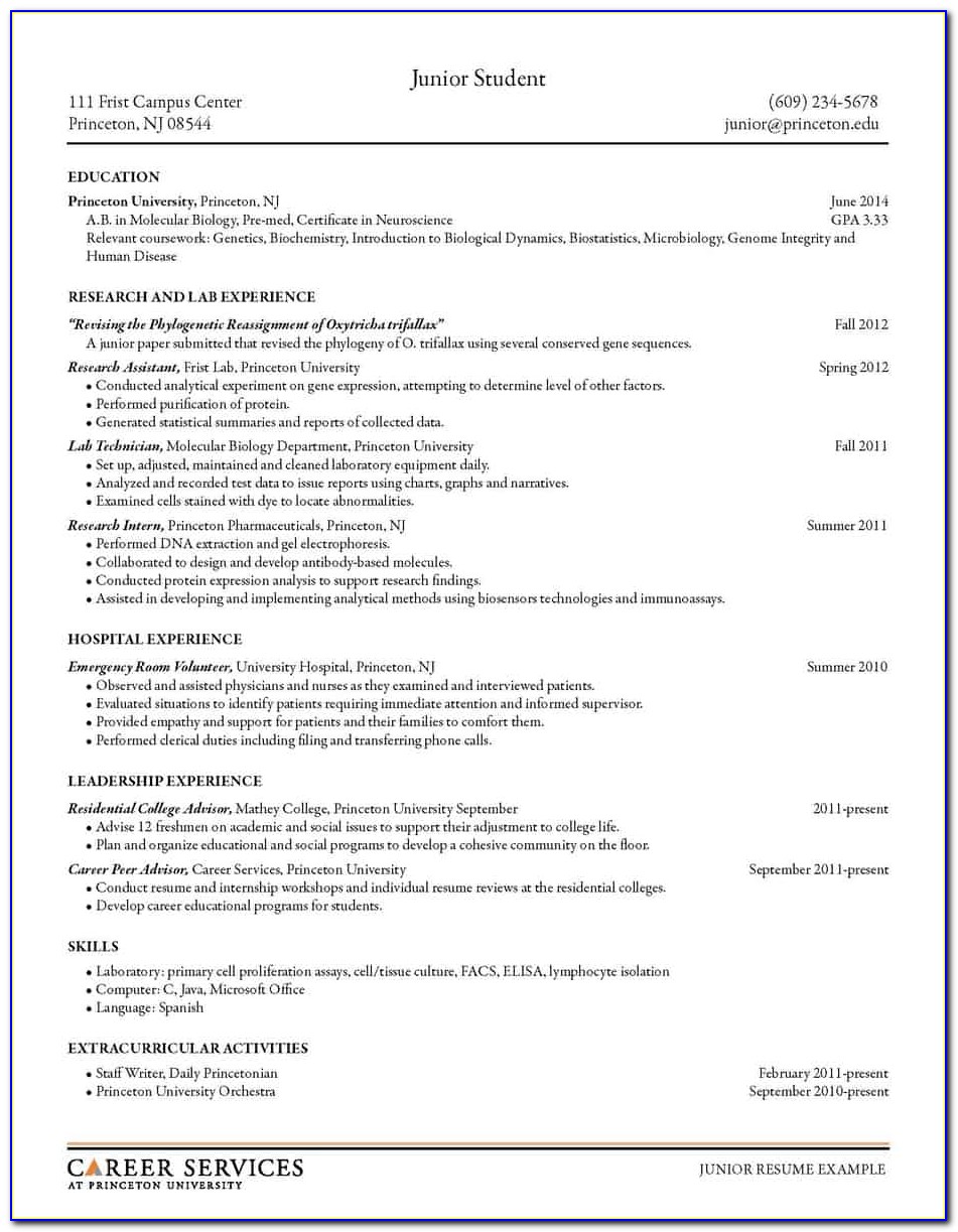 Resume Forms Online