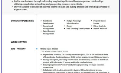 Sample Cv Of Senior Project Manager