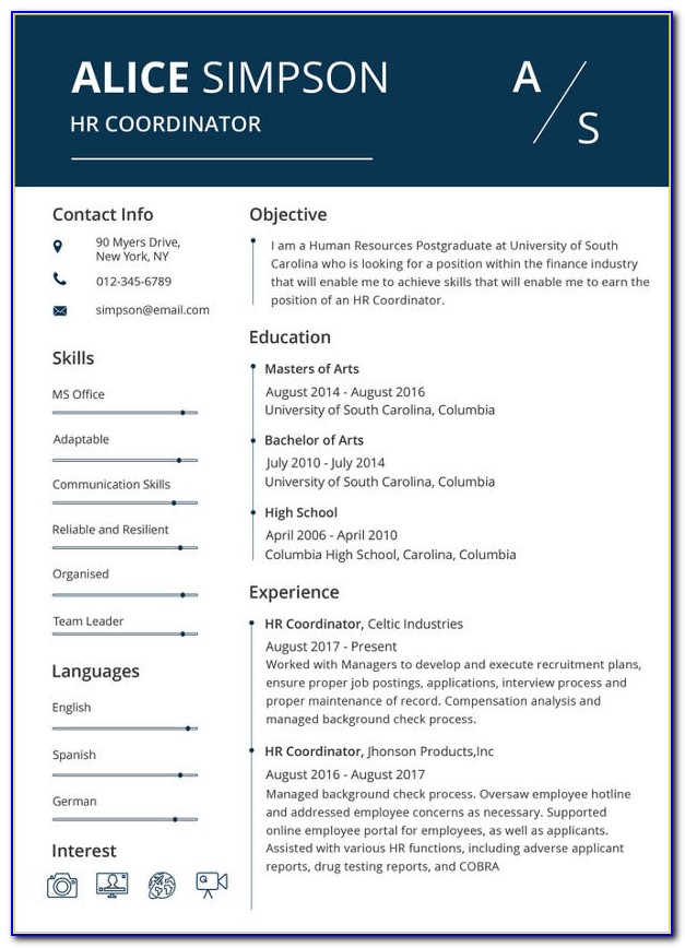 Sample Resume In Excel Format Download